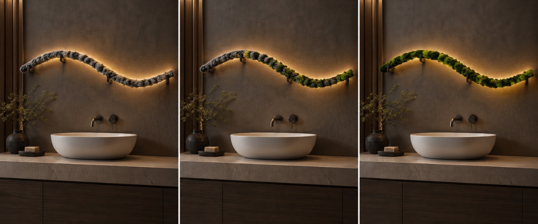 The same moss vine above a bathroom sink in three frames: silver-grey and dry, half green, fully green